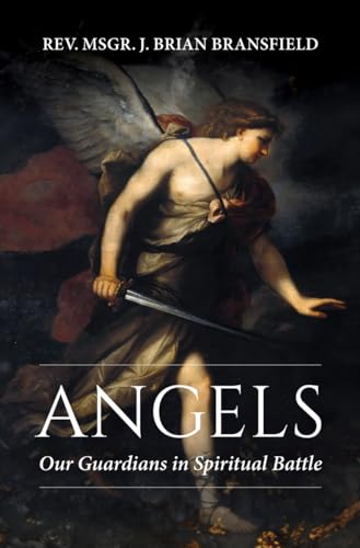 Revealing the Hidden Forces: Angels as Our Spiritual Defenders
