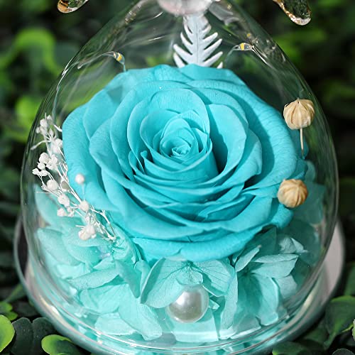 Angel Rose Gift: A Romantic Symphony in Glass